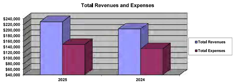 Total Revenues and Expenses - 2025 vs 2024