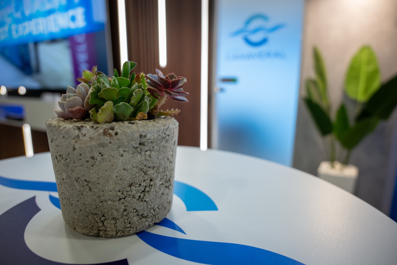 SmallpottedsucculentatPortCanaverals2026SeatradeCruiseGlobalbooth