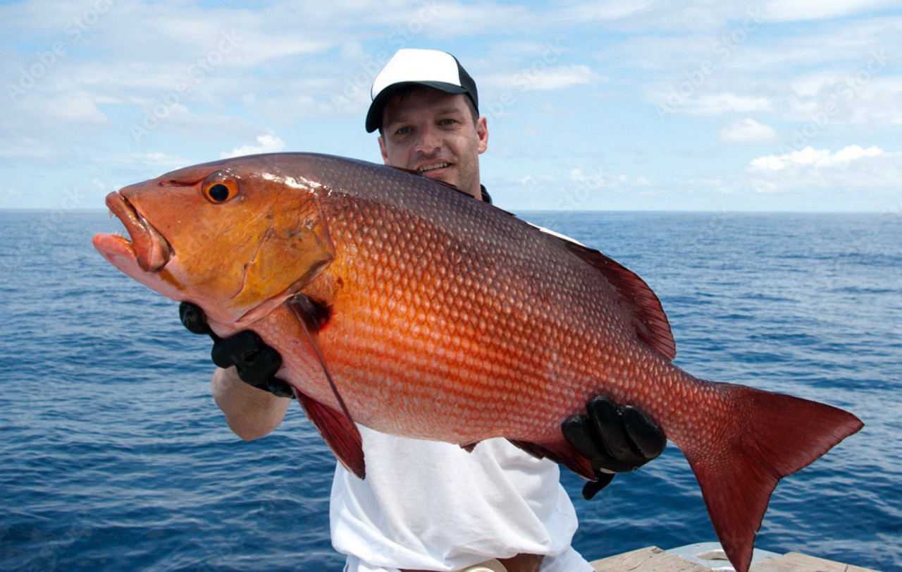 Photo of a fisherman holding a large red snapper